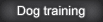 dog training