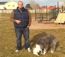 VIDEO: Train Your Dog to Walk on a Loose Leash