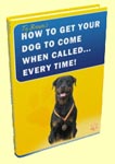 BONUS E-BOOK: How to Get Your Dog To Come When Called... Every Time!