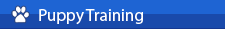  Puppy Training