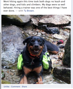 Dog training