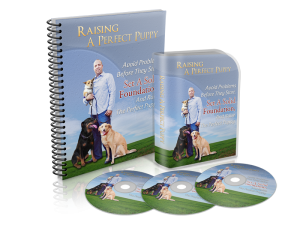 Puppy Training, obedience, potty training, socialization