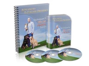 Electric Collar Obedience Training