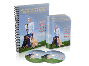 Fix Bad Dog Manners and Dog Destruction