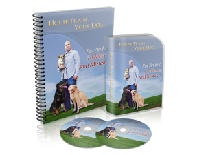 Learn to potty train a puppy or adult dog