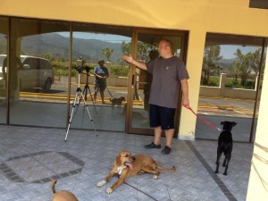 Dog Training